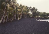 blacksand_beach